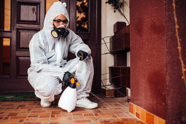 Reliable Ant Control contractor in Lakeview, CA by Nex Pest Control